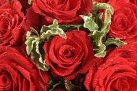 Bouquet de fleurs compos� de roses