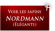 Sapins Nordmann