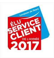 Meilleur service client de l'ann�e 2017