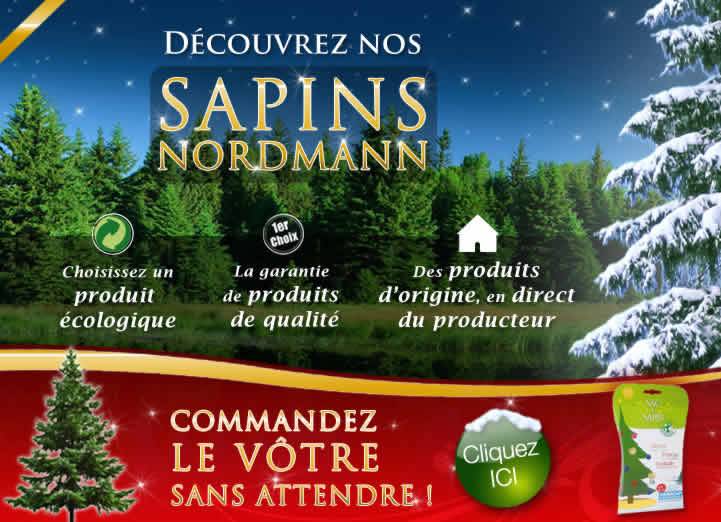 Achetez votre sapin de Noel chez Florajet.com