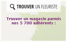 Trouvez un fleuriste