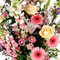 Bouquets longues tiges