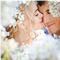 Bouquets compos�s