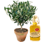 Bouquets compos�s