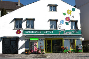 MULTIFLOR