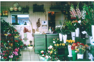 A FLEUR DE POT