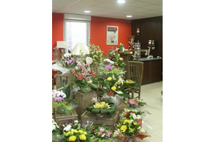 FLOREALES