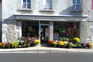 CELI FLEURS