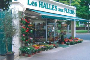 LES HALLES AUX FLEURS