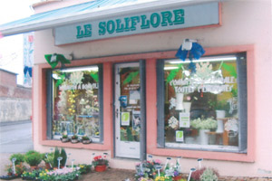 SOLIFLORE