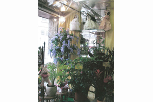 FLEURS DE NEUILLY