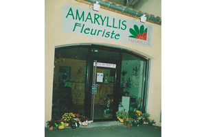 AMARYLLIS FLEURS