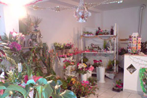 L AME DES FLEURS