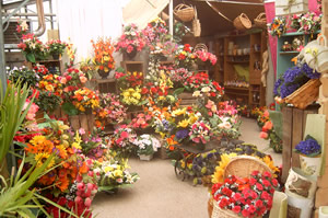 AUX FLEURS D ELYNEO