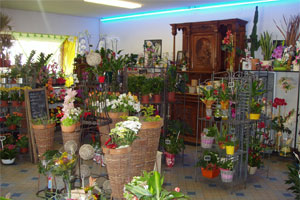 A FLEUR DE BE