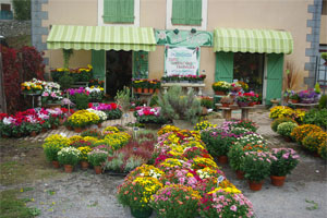 LA ROSE