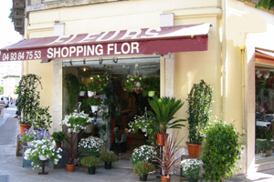 SHOPPING FLOR