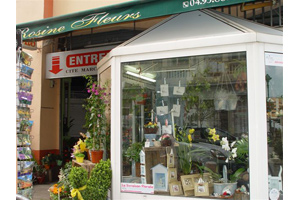 ROSINE FLEURS