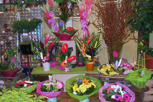 PASSIFLORE