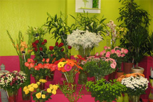 AUX FLEURS D AMEL YS