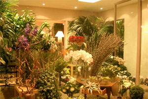 FLEURS RIVE GAUCHE
