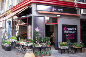 MAGENTA FLEURS