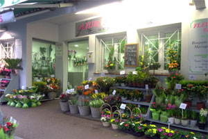 FLEURS 3000