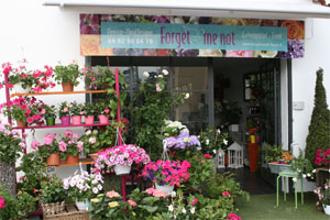 FORGET ME NOT
