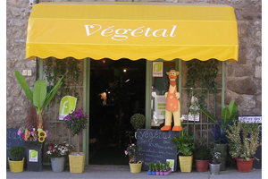 VEGETAL