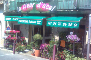 LA FLEUR D UCEL