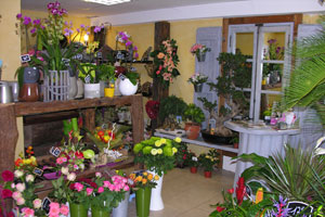 A LOSTAL FLORIT        