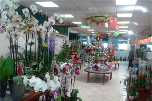 JARDIN DES FLEURS