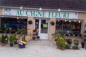 AU CYGNE FLEURI