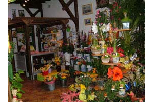 MONIQUE FLEURS