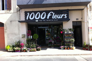 1000 FLEURS