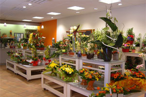 FLEURS ET NUANCES