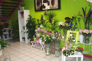 LES FLEURS DE CLOE
