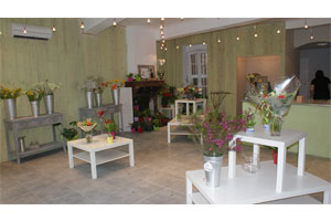 FLEURS NAT URELLES