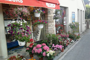 MAISON DE LA FLEUR