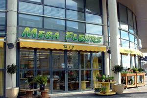 MEGA FLEURS