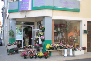 AMBIANC FLEURS
