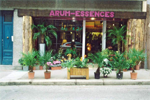 ARUM ESSENCES