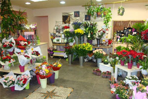 LILA S FLOWERS