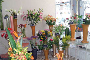 ODE AUX FLEURS