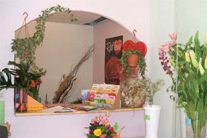 LE JARDIN FLEURI