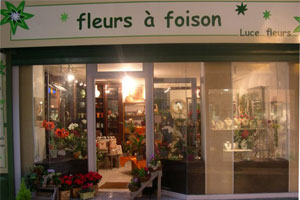 FLEURS A FOISON