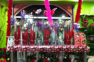 LILA S FLOWERS