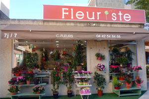 CORINNE FLEURS