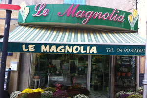 LE MAGNOLIA