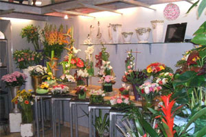 FERRY FLEURS